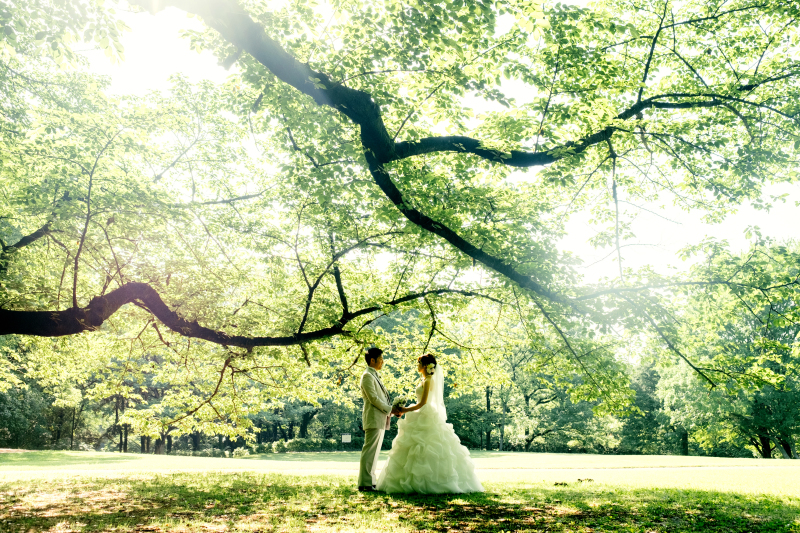 見渡す限り緑一色のナチュラル空間に包まれて