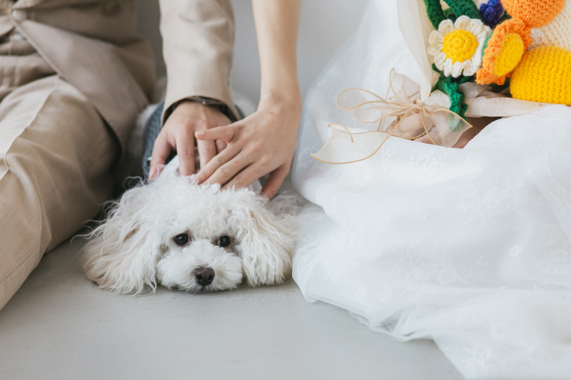 頑張りました〜