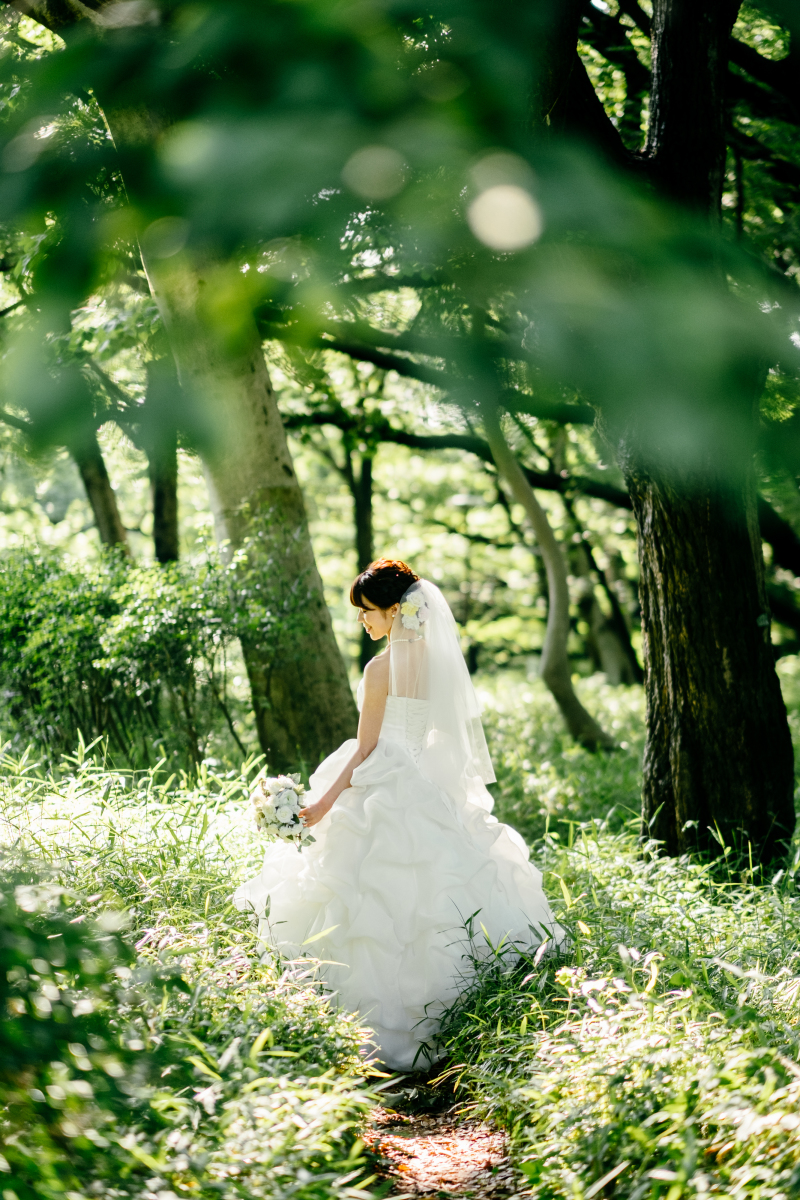 木々の隙間からやさしい木漏れ日が降りそそぐ