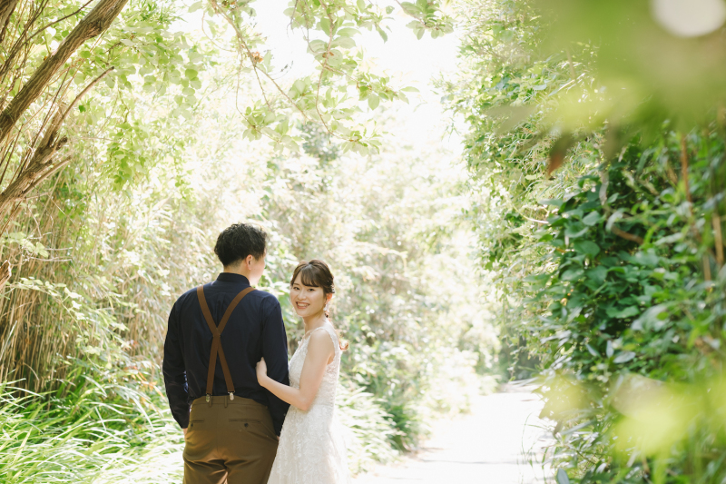 自然光できらめく葉