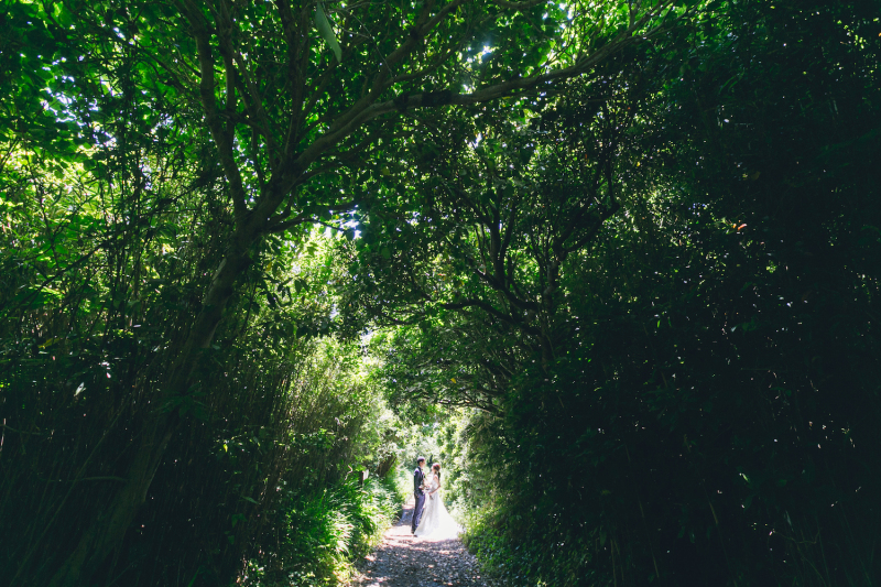 緑道で木漏れ日とともに