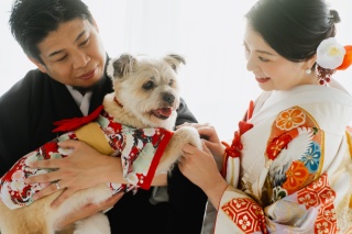 愛犬といっしょに過ごす、穏やかでやさしい和装の時間【ONELIFE】