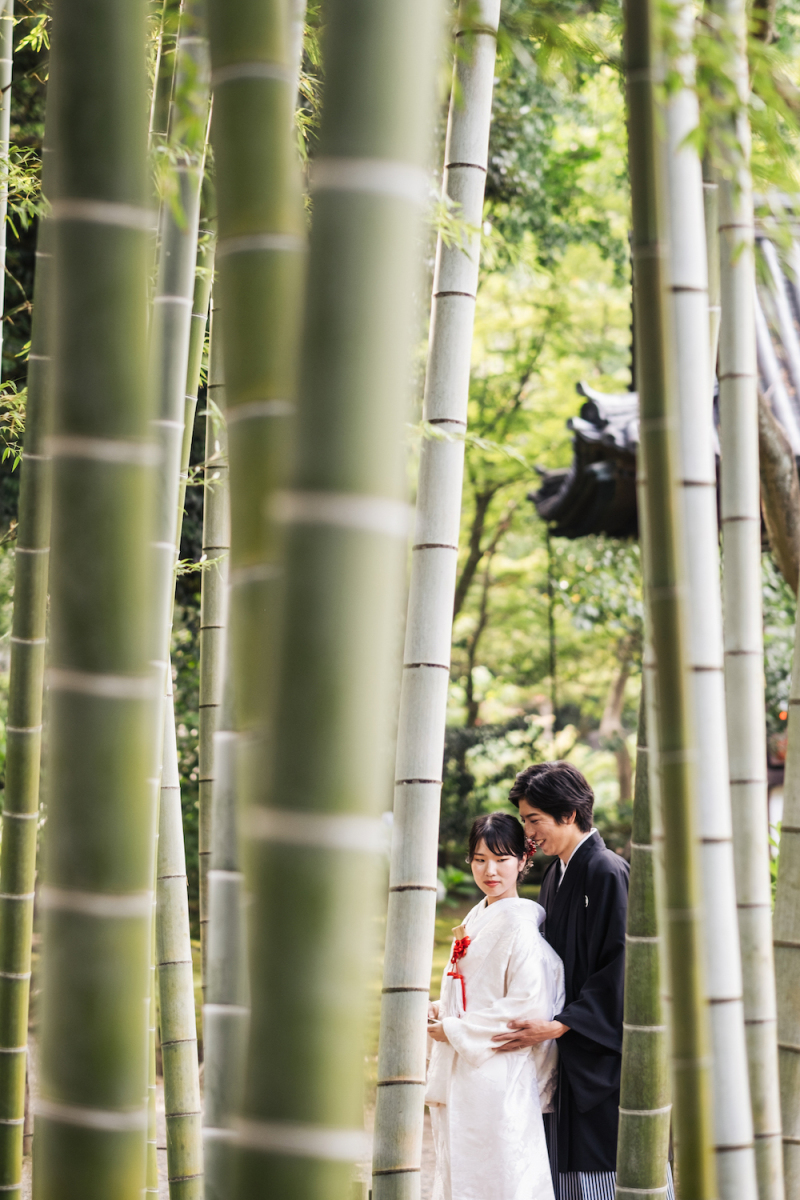 竹のすきまから