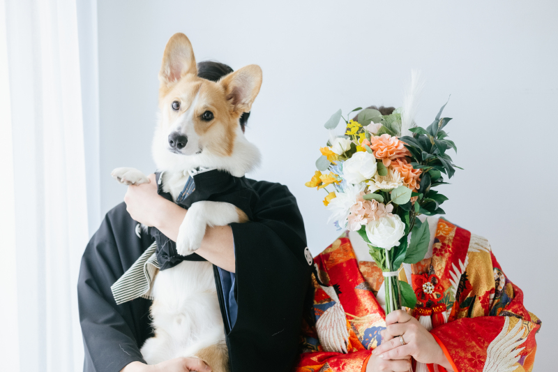 色打掛にチェンジ