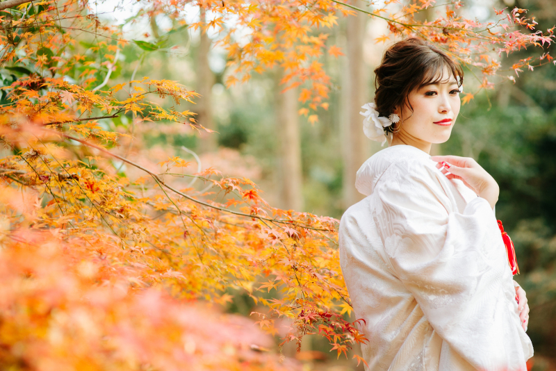 着物×紅葉