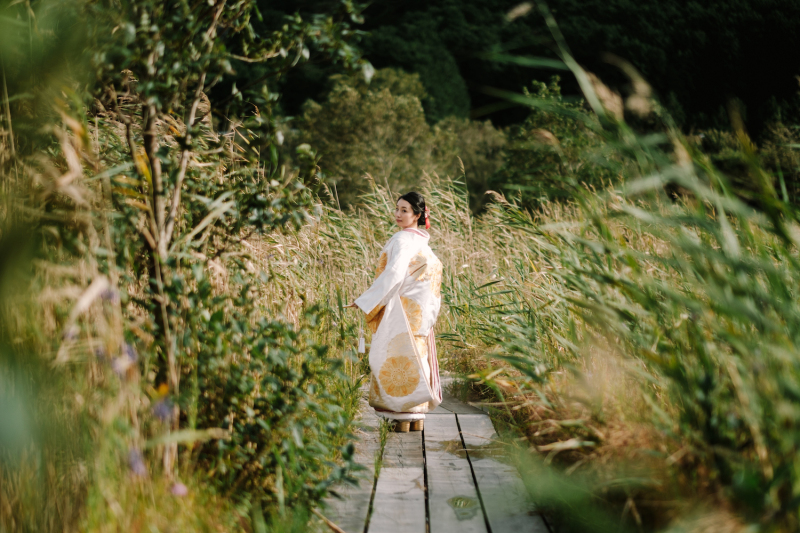 すすきの間から