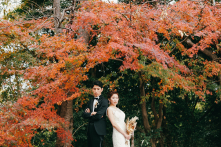和装も洋装も、スタジオもロケーションも