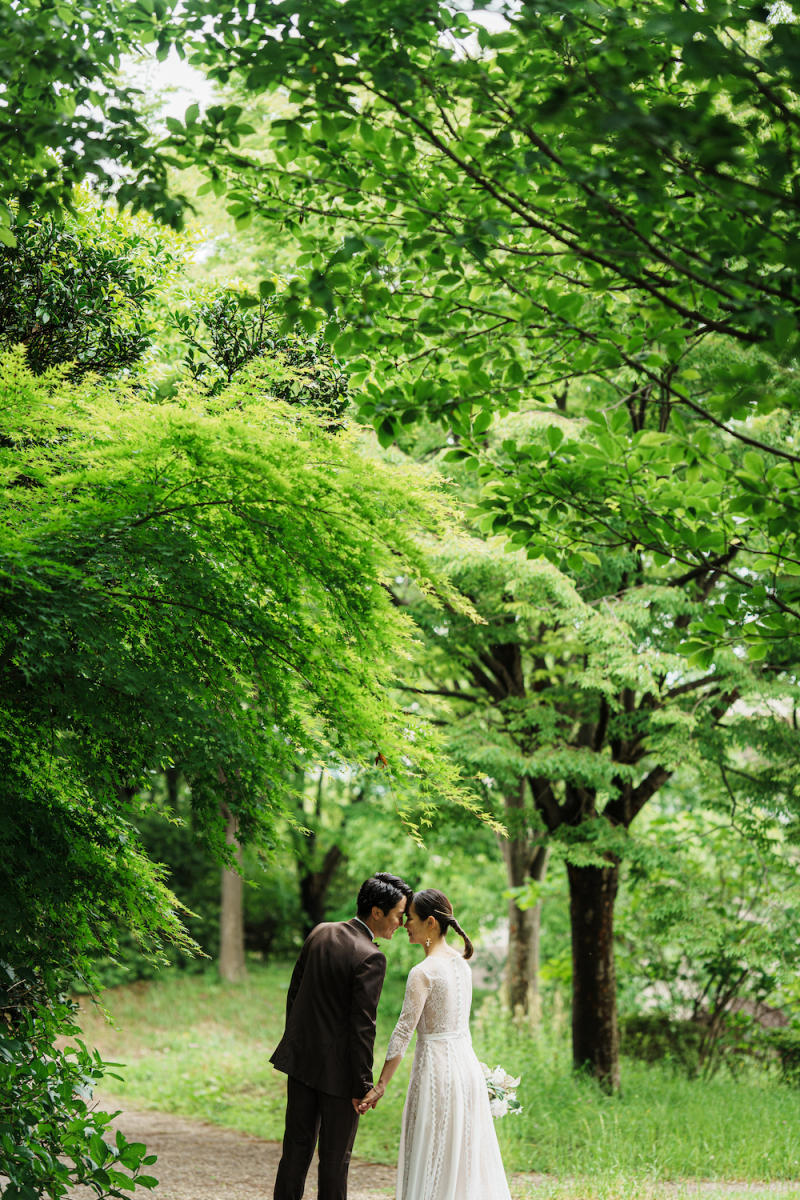 森の奥深くにいるような