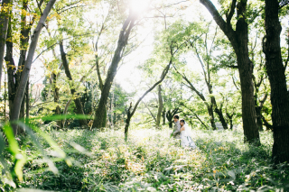 緑に囲まれて。