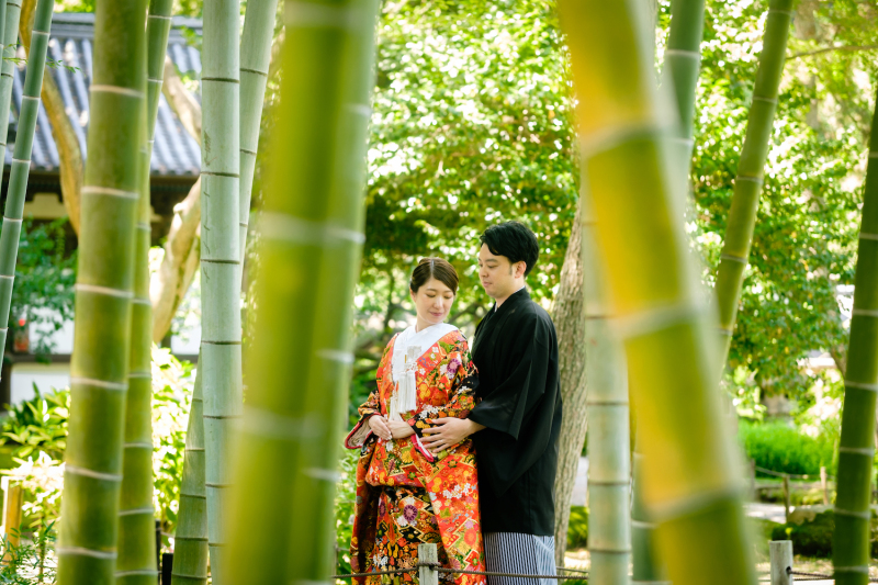 竹のすきまから