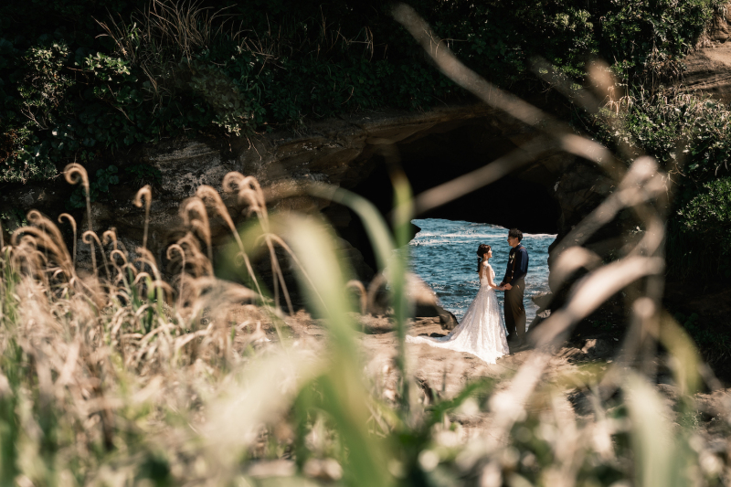 草むらの先を覗き込むように