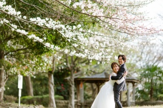 新緑と桜の公園で【ONELIFE】