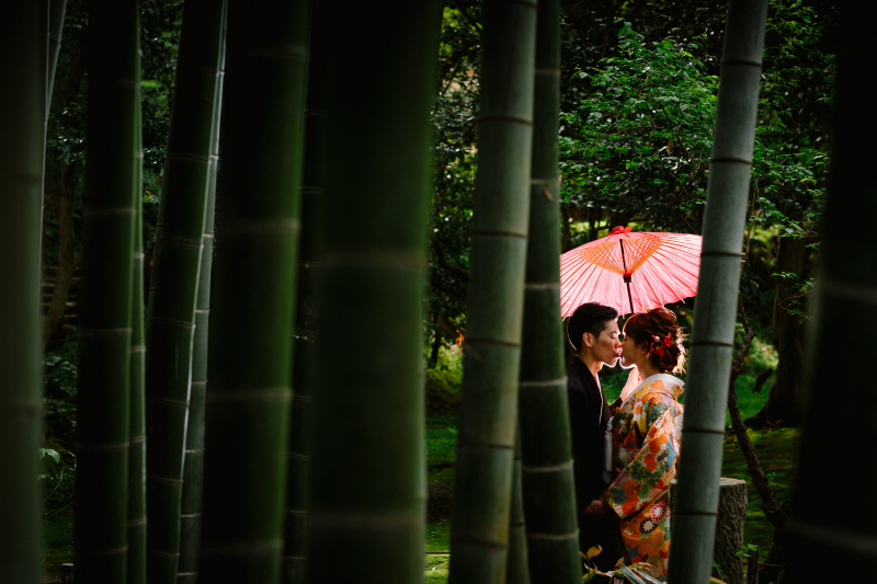 竹藪もあったりとで色んな写真が残せます。