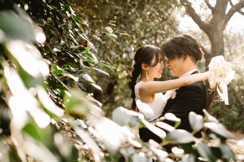 木々に包まれて