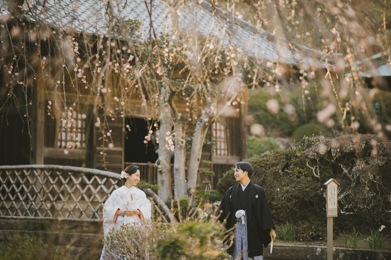 梅と海蔵寺