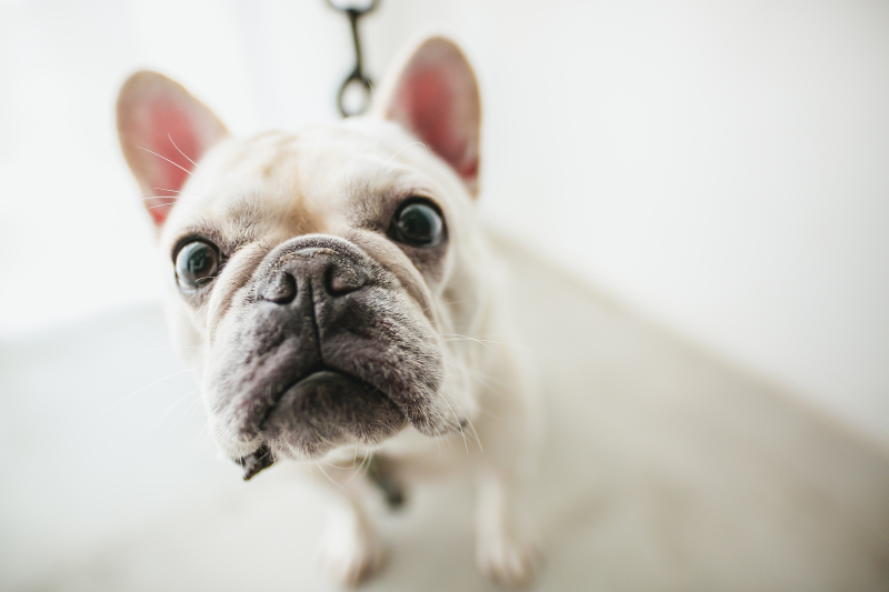 主役？！？！？！