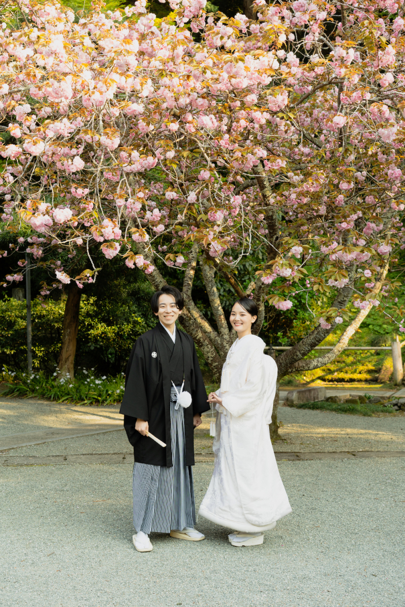桜の木の下で