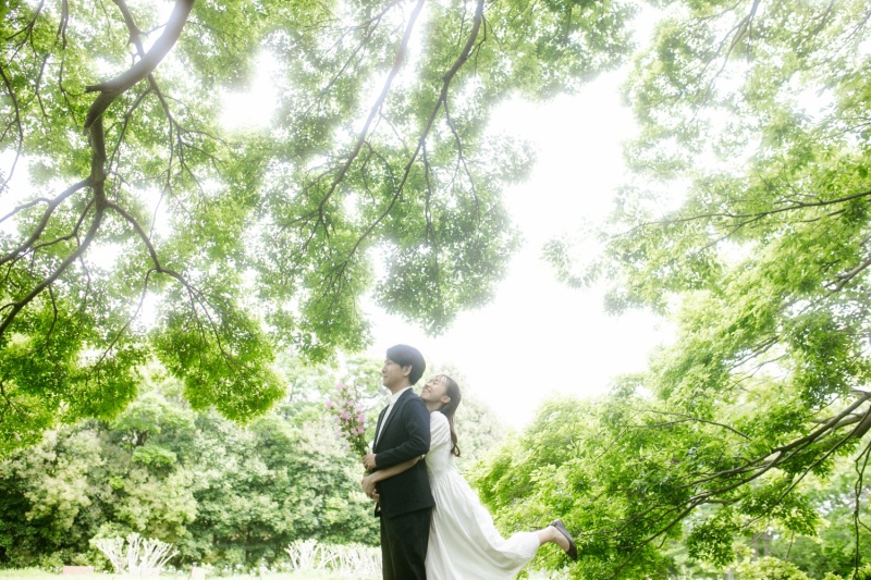 ▽ ▽ ▽