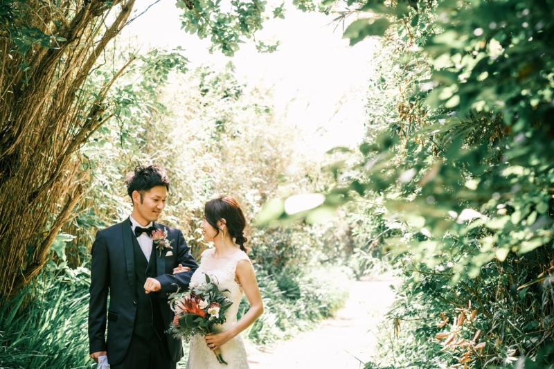 緑に囲まれた道をいく