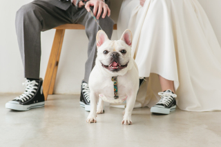  ペットと一緒に~わんちゃん編~