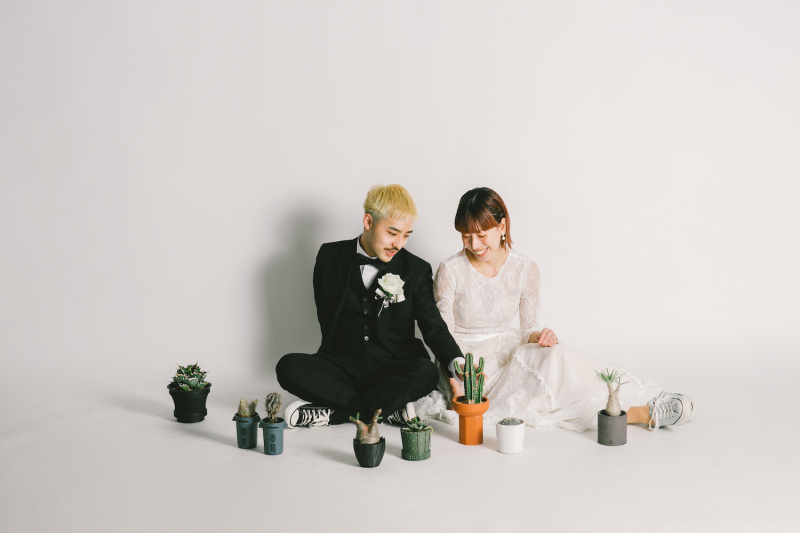 サボテンの配置