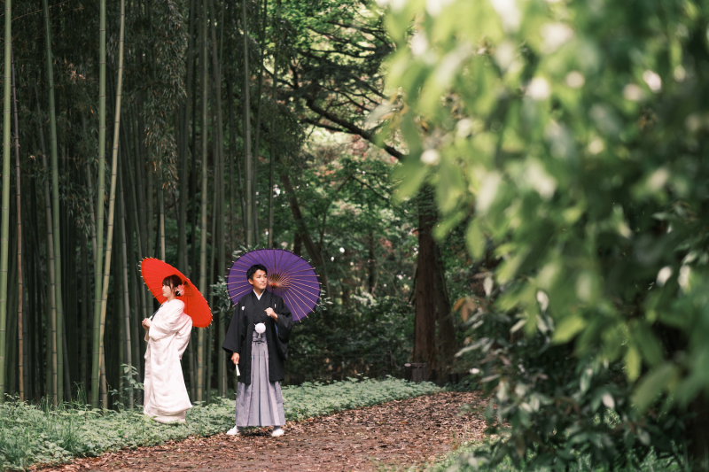 外せない竹林から