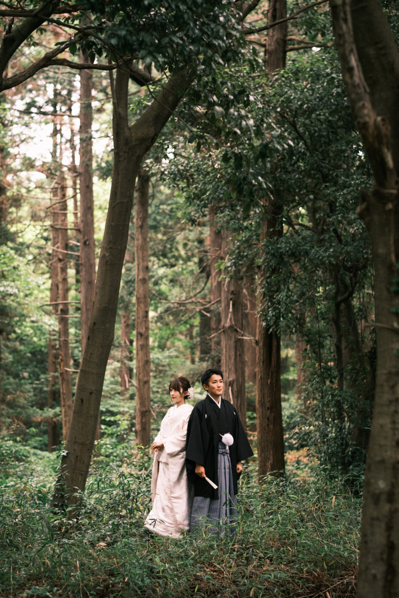 木々に囲まれて