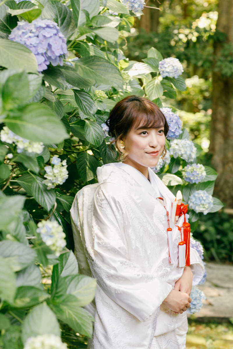 紫陽花
