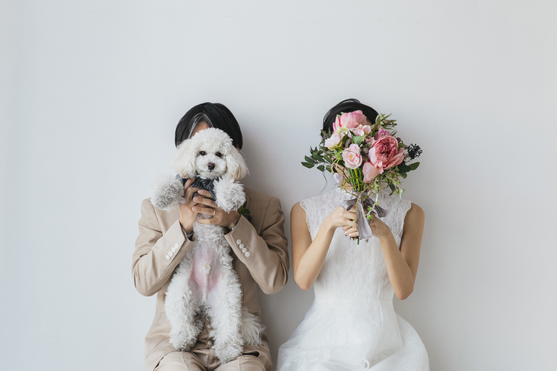 お顔を隠して。