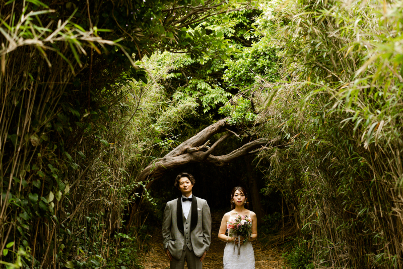 新緑の城ヶ島へ!