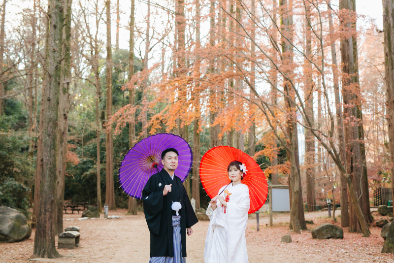 メタセコイヤの林。