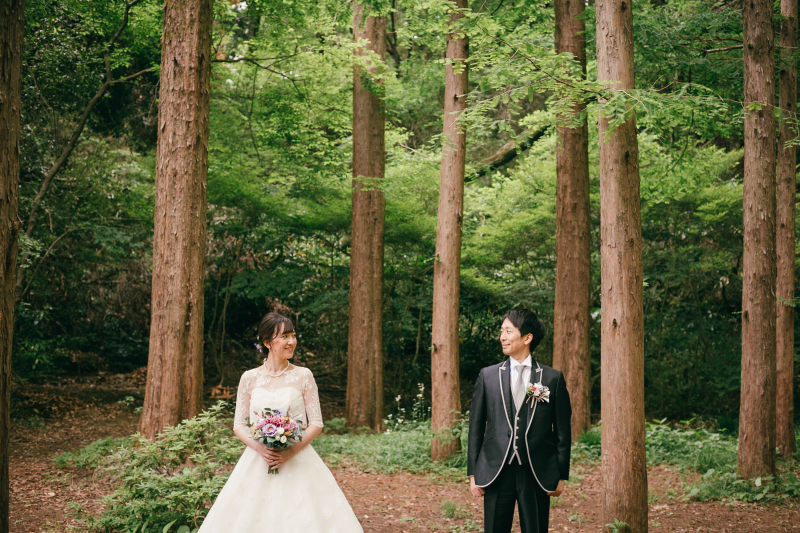 大人気！メタセコイアの林に移動