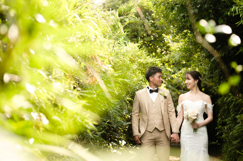 葉に反射する光