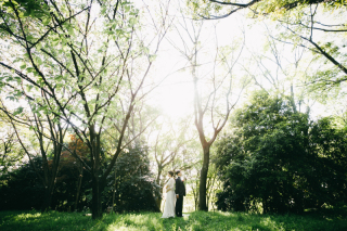 【緑のきれいな公園】横浜市都筑区の公園ロケ