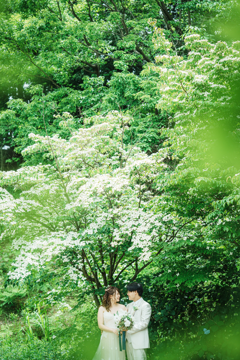 上まで広がる木々と一緒に