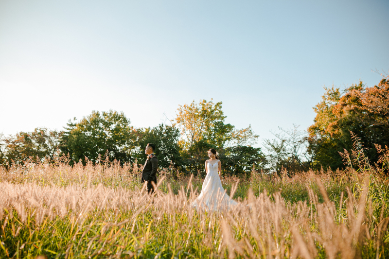 すすきの中で広く広く