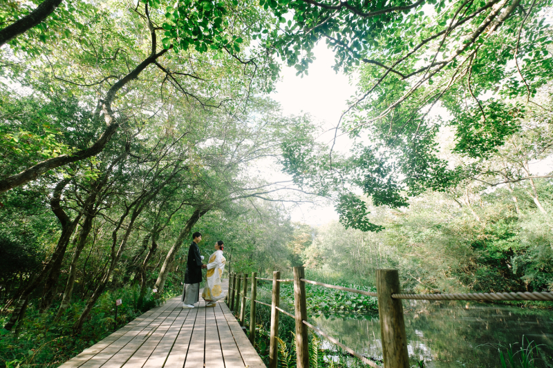 木漏れ日を感じながら