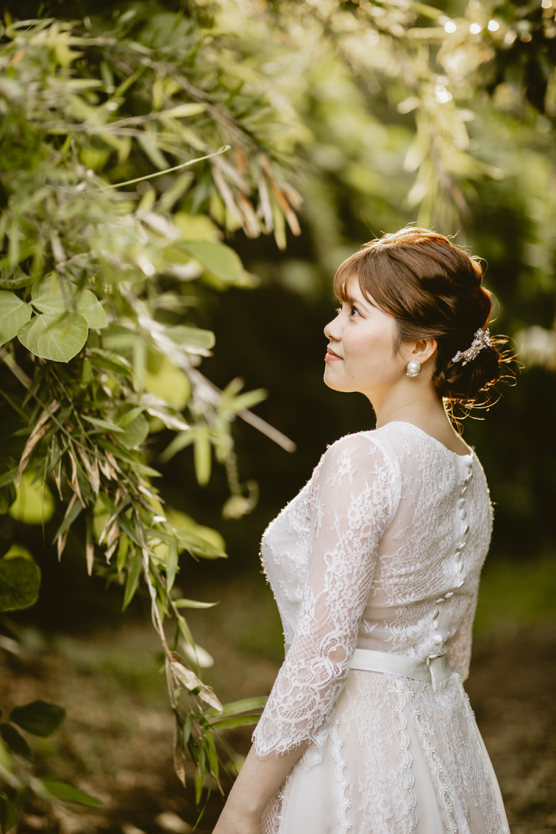 差し込む木漏れ日と