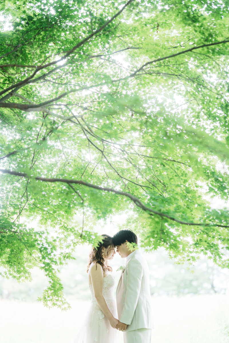 木漏れ日がおりなす透明感