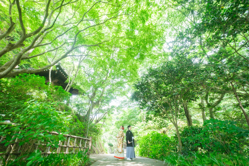 場所を移動して、違った一面の緑