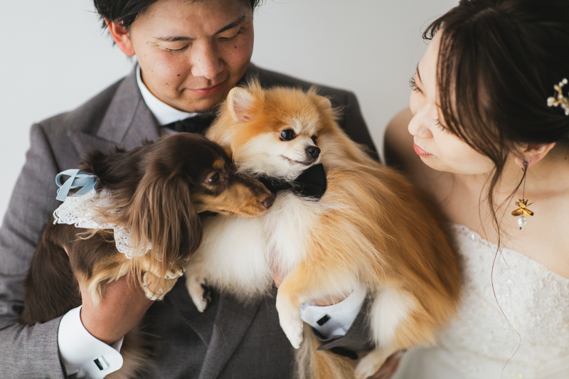 ペットだってもちろん家族の一員!