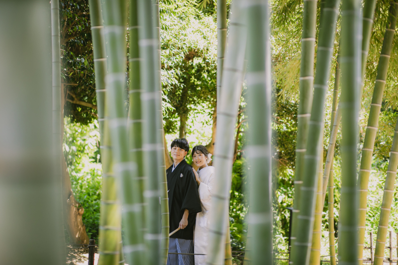 東京ドーム約4個分の広大な敷地