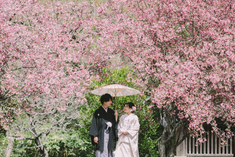 季節の移り変わりを写真で感じられる