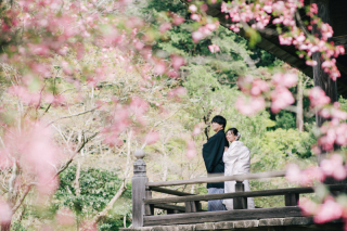 撮影全データお渡し