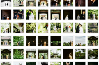 データお急ぎ便（１週間）