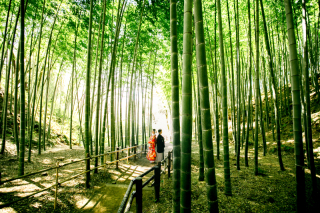 ロケーション撮影枚数50カット増