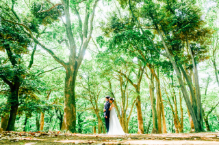 【新緑前撮り】　代々木公園でのドレスロケーション