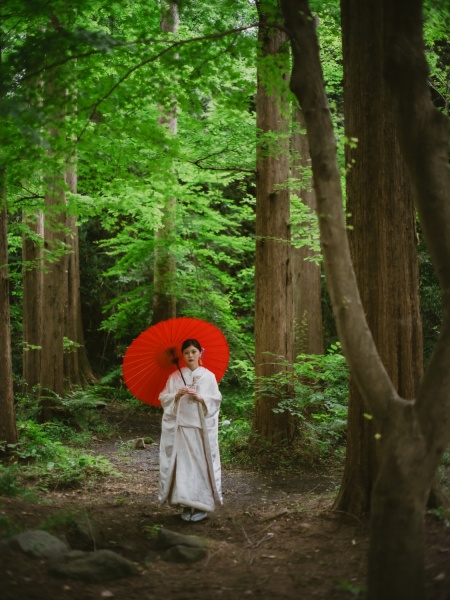 メタセコイヤの林に囲まれて『生田緑地』プラン