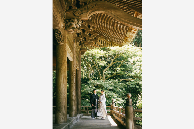 【通年】杉木立に囲まれた静寂の異空間『鎌倉妙本寺』プラン