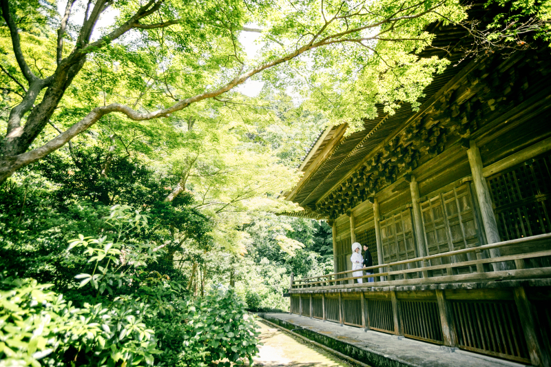 【通年】杉木立に囲まれた静寂の異空間『鎌倉妙本寺』プラン